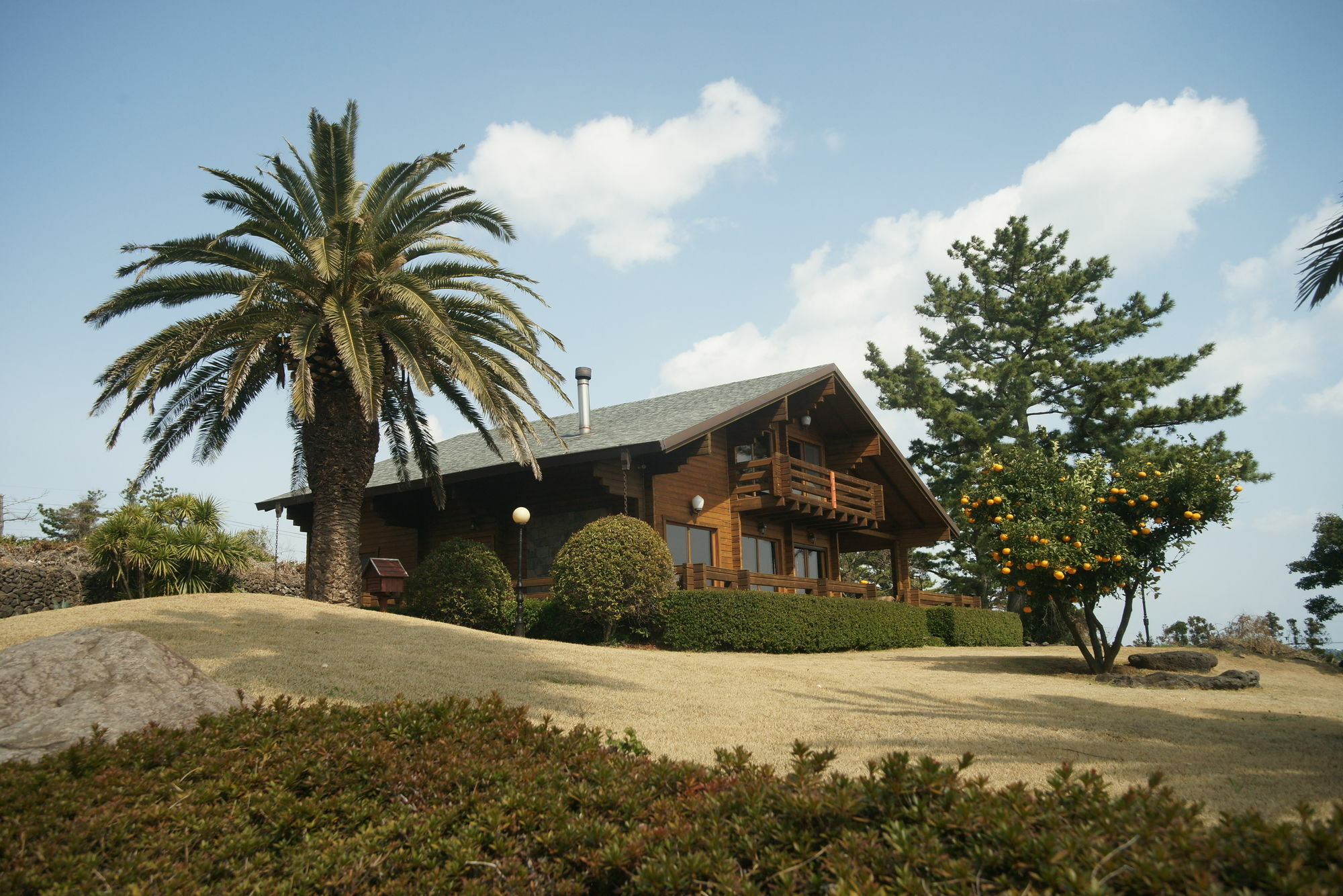 Sunny Day Jeju Villa Seogwipo Exterior foto